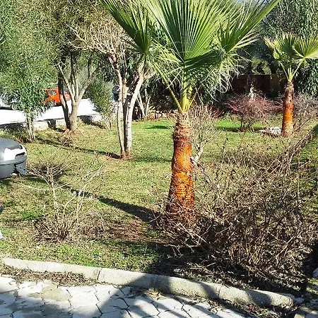 Almond Grove A4 Fethiye